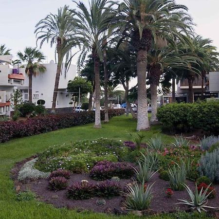 Apartament Frontera-Primavera Lägenhet Costa Del Silencio Exteriör bild