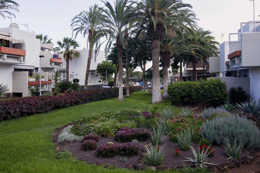 Apartament Frontera-Primavera Lägenhet Costa Del Silencio Exteriör bild